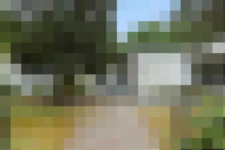 Dennenveld 16 Deurne thumbnail 45