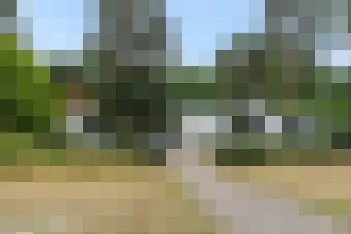 Dennenveld 16 Deurne thumbnail 46