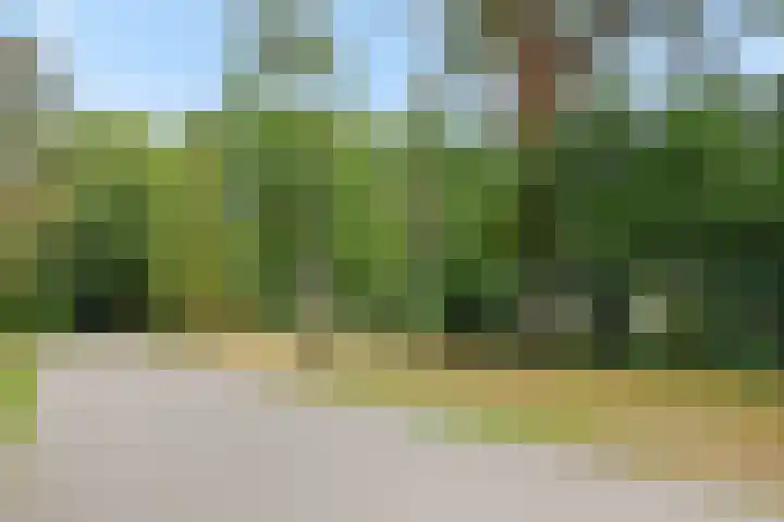 Dennenveld 16 Deurne thumbnail 47