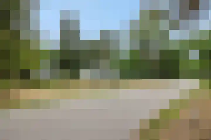 Dennenveld 16 Deurne thumbnail 48