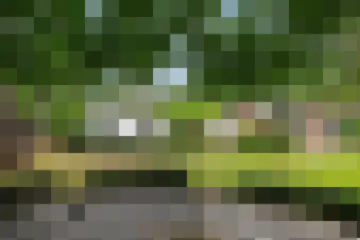 Dennenveld 16 Deurne thumbnail 5
