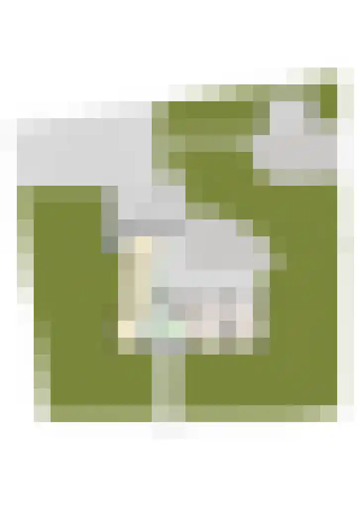 Dennenveld 16 Deurne thumbnail 52