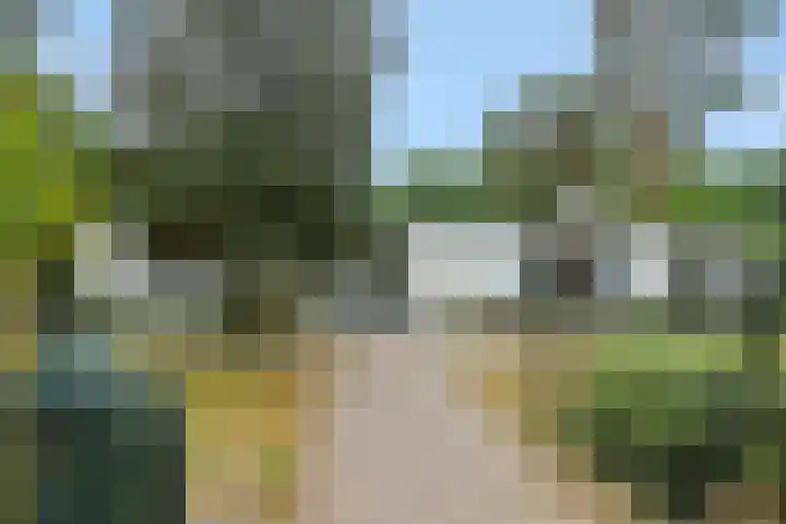 Dennenveld 16 Deurne thumbnail 6