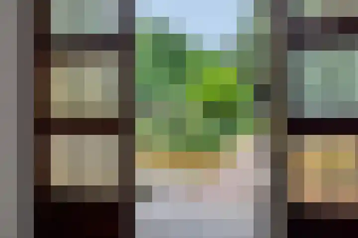 Dennenveld 16 Deurne thumbnail 7