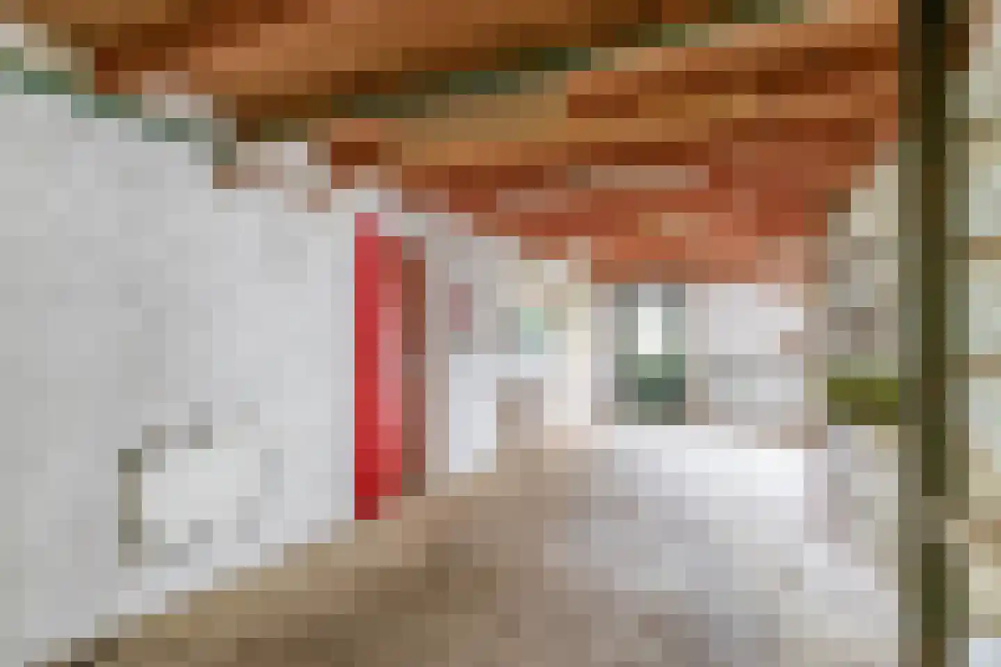 Dennenveld 5 Deurne thumbnail 34