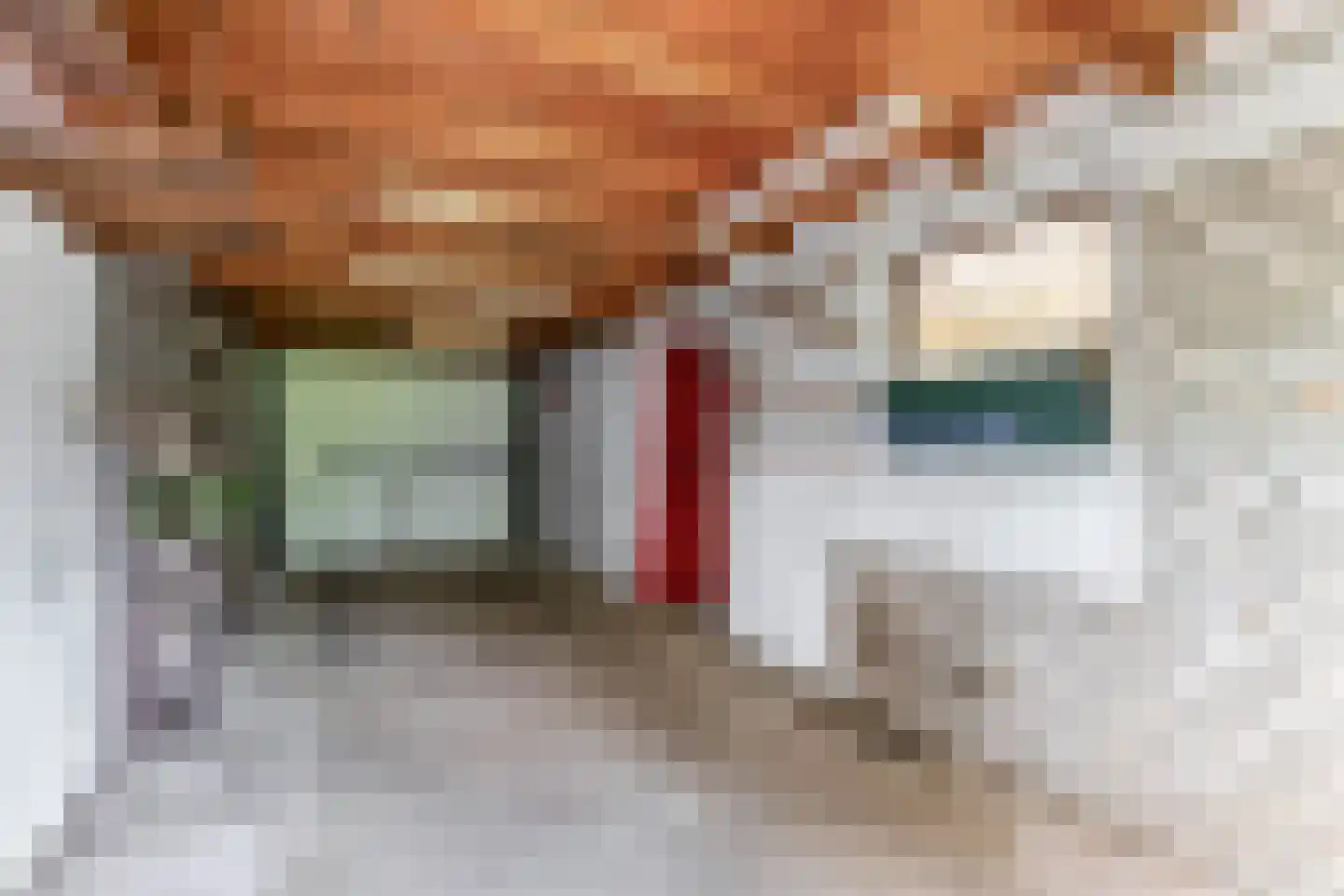 Dennenveld 5 Deurne thumbnail 35