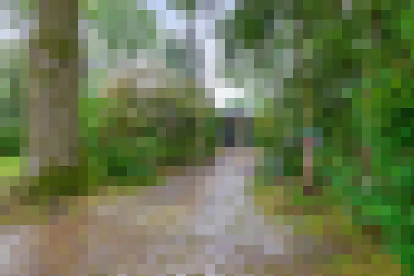 Dennenveld 5 Deurne thumbnail 36