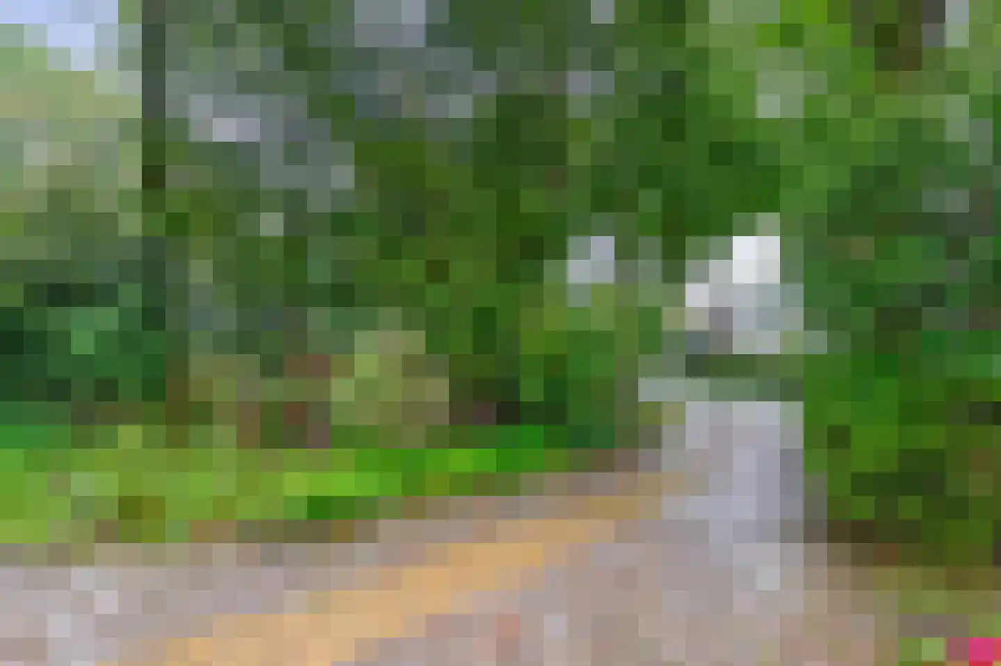 Dennenveld 5 Deurne thumbnail 37