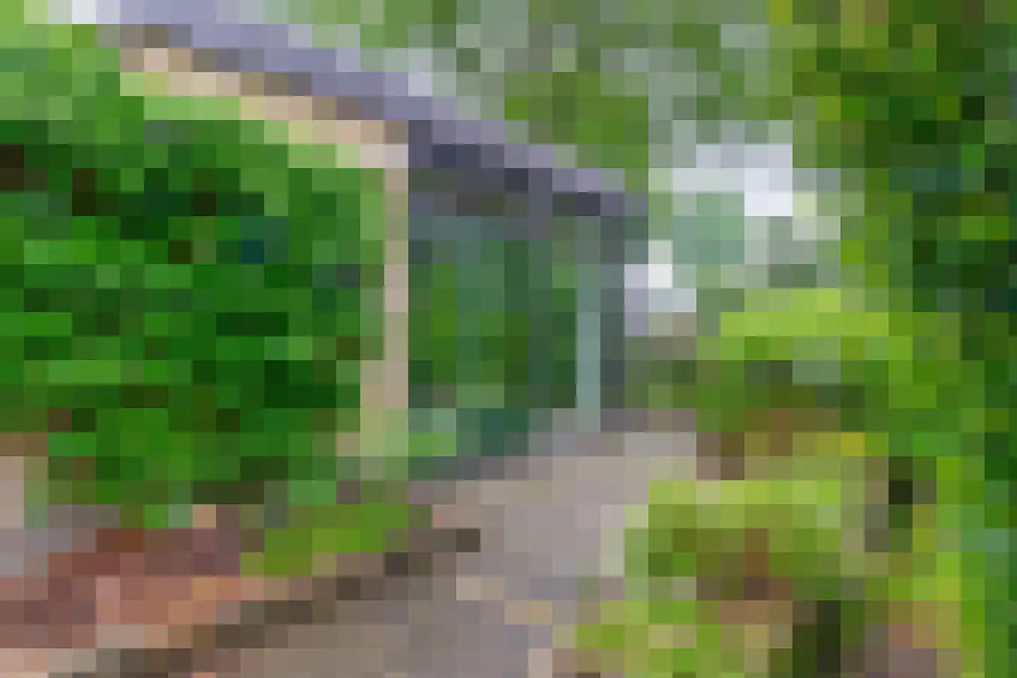 Dennenveld 5 Deurne thumbnail 38