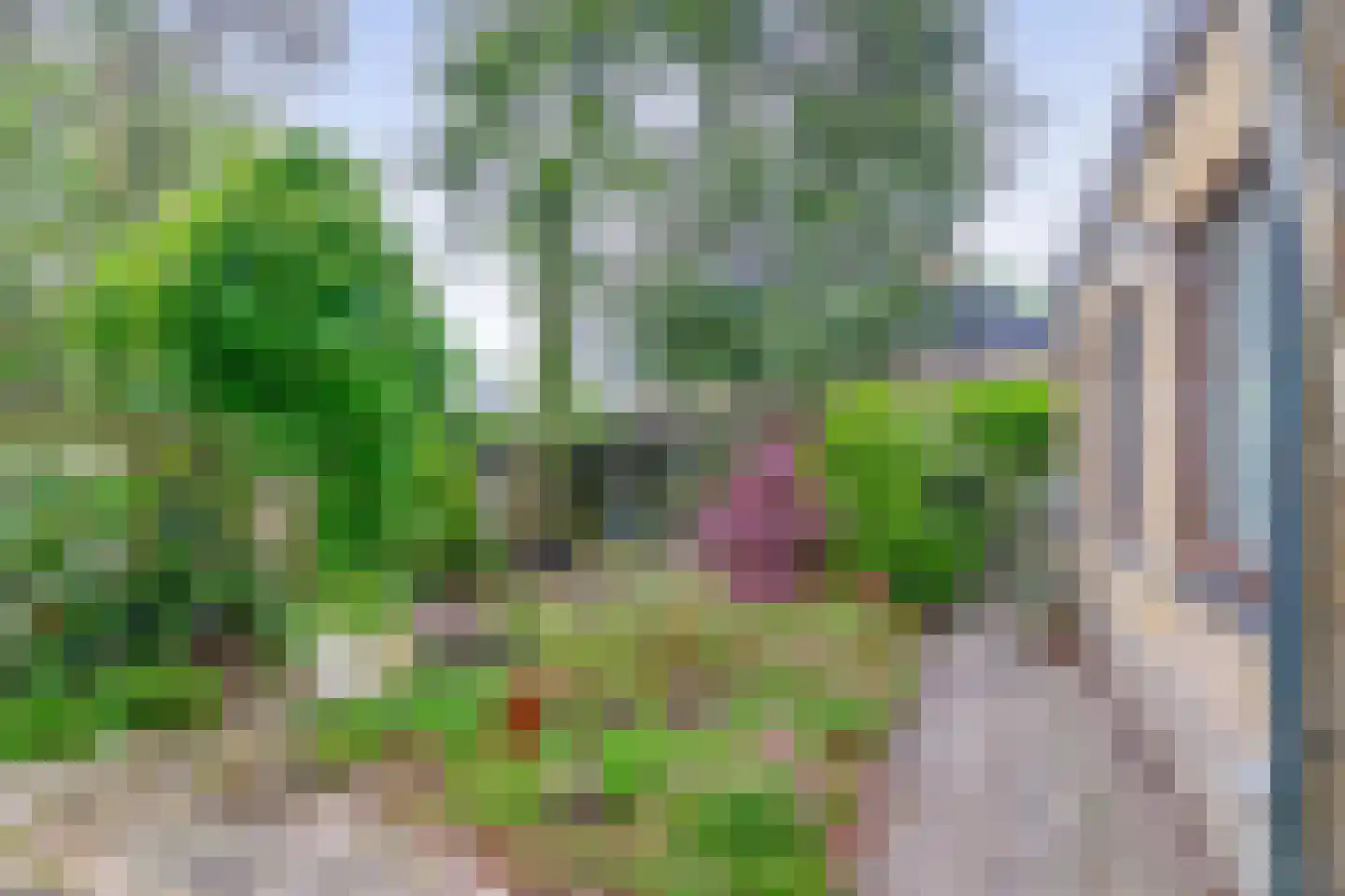 Dennenveld 5 Deurne thumbnail 39