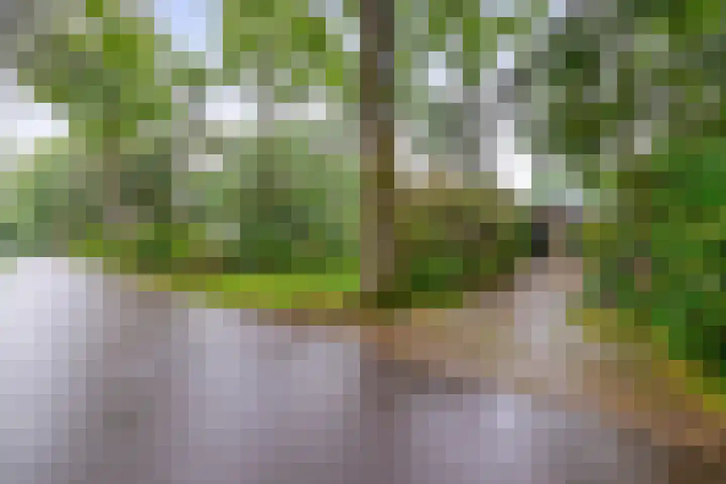 Dennenveld 5 Deurne thumbnail 4