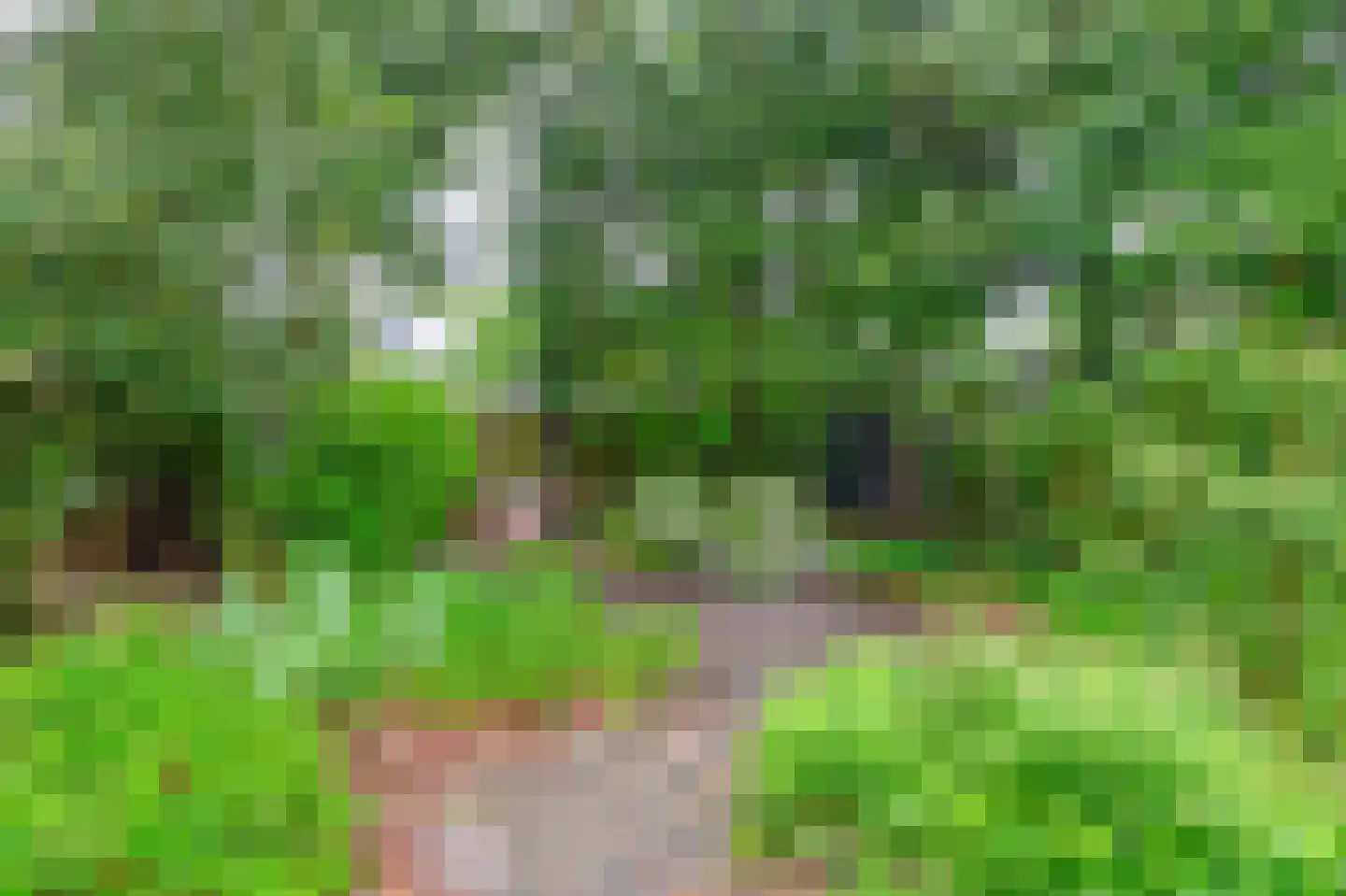Dennenveld 5 Deurne thumbnail 40