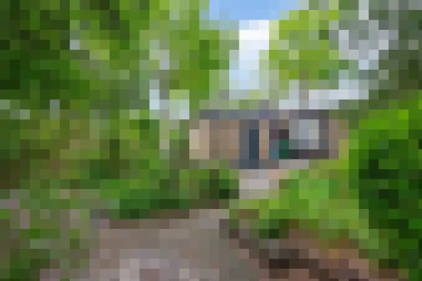 Dennenveld 5 Deurne thumbnail 41