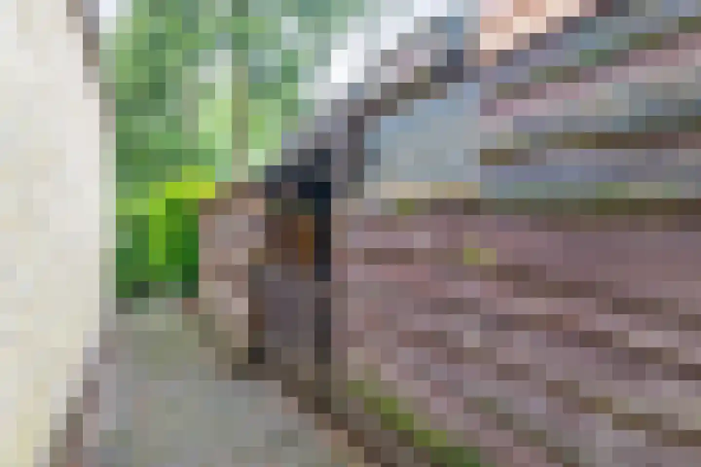 Dennenveld 5 Deurne thumbnail 43