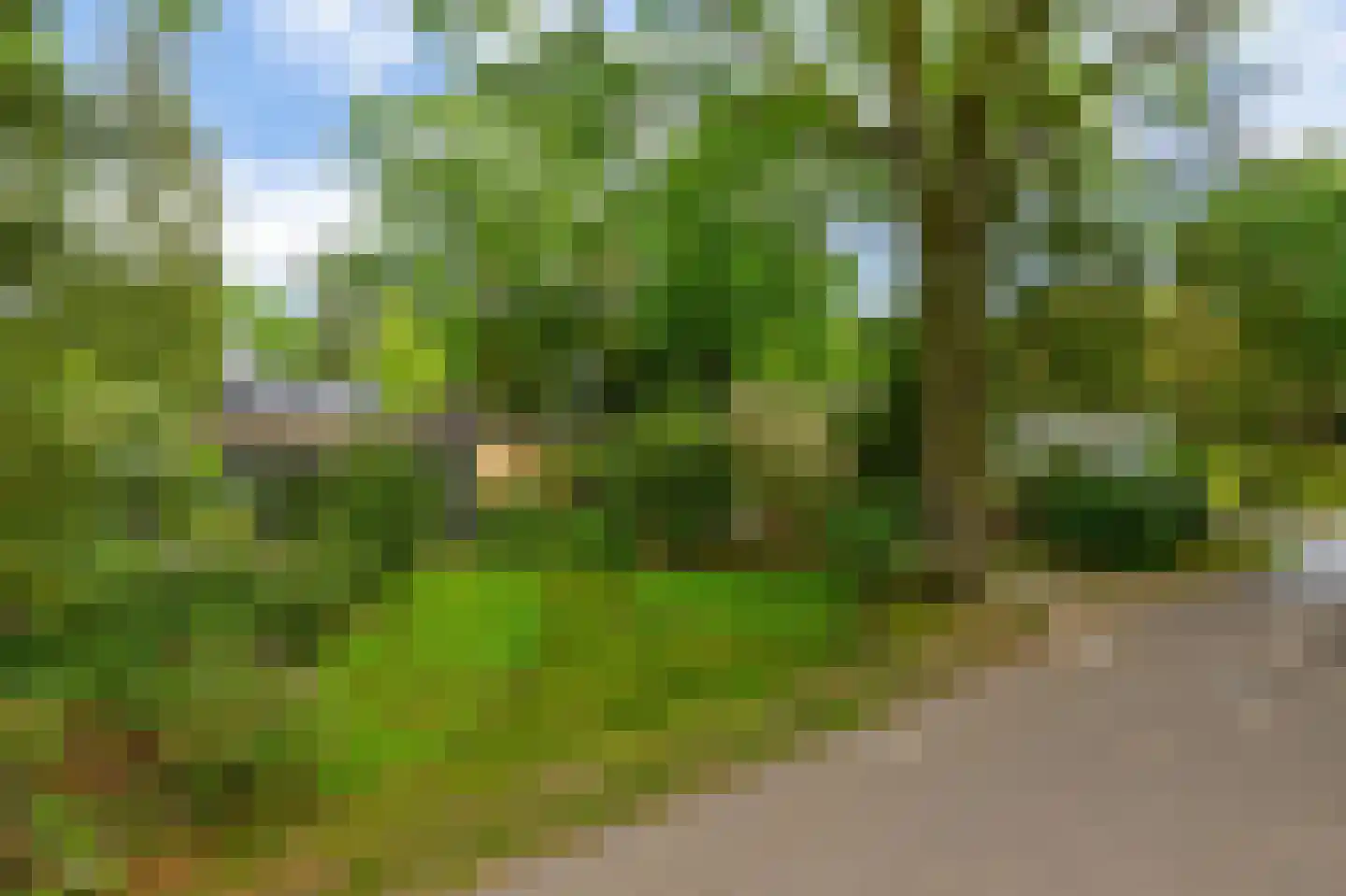 Dennenveld 5 Deurne thumbnail 45
