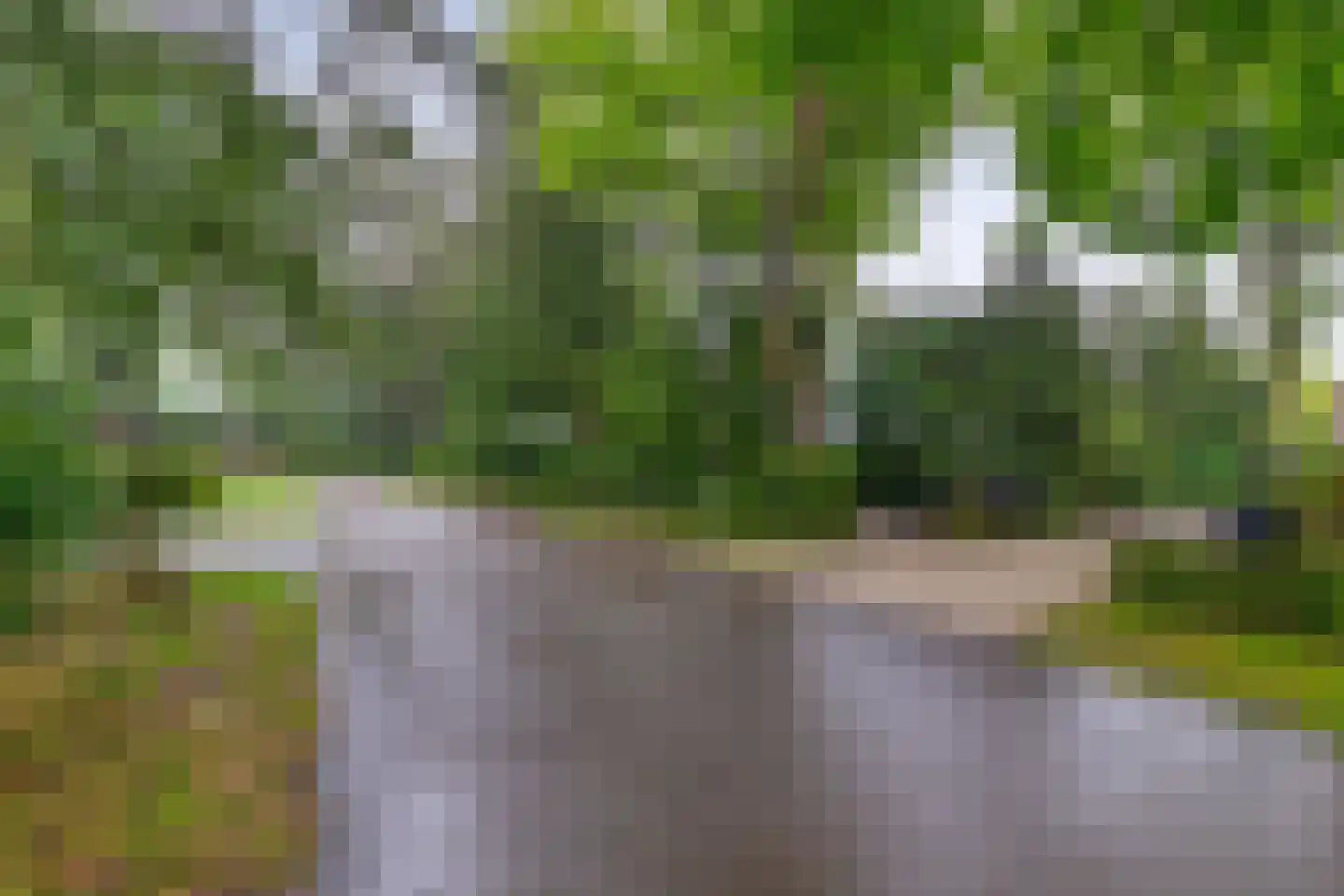 Dennenveld 5 Deurne thumbnail 5