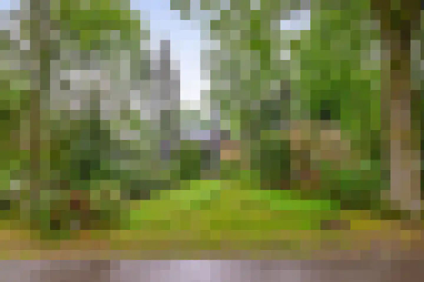Dennenveld 5 Deurne thumbnail 6