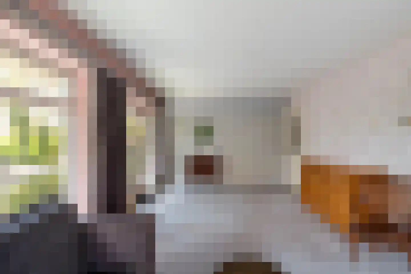 Dennenweg 1 Assen thumbnail 17