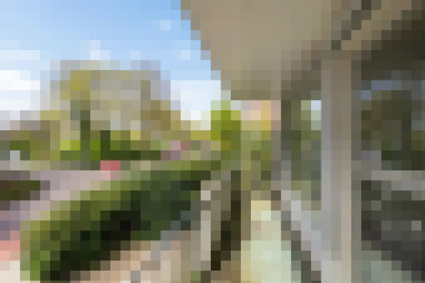 Dennenweg 1 Assen thumbnail 18