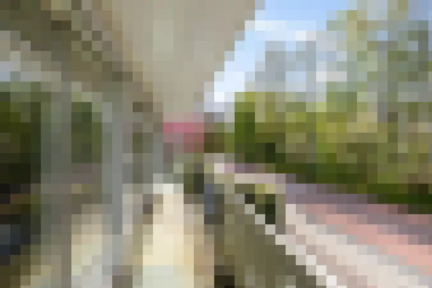 Dennenweg 1 Assen thumbnail 19