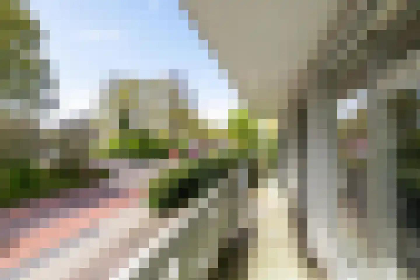 Dennenweg 1 Assen thumbnail 20