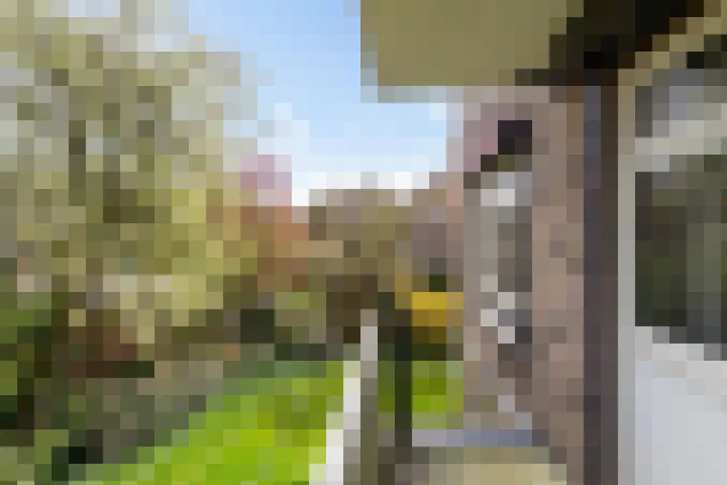 Dennenweg 1 Assen thumbnail 21