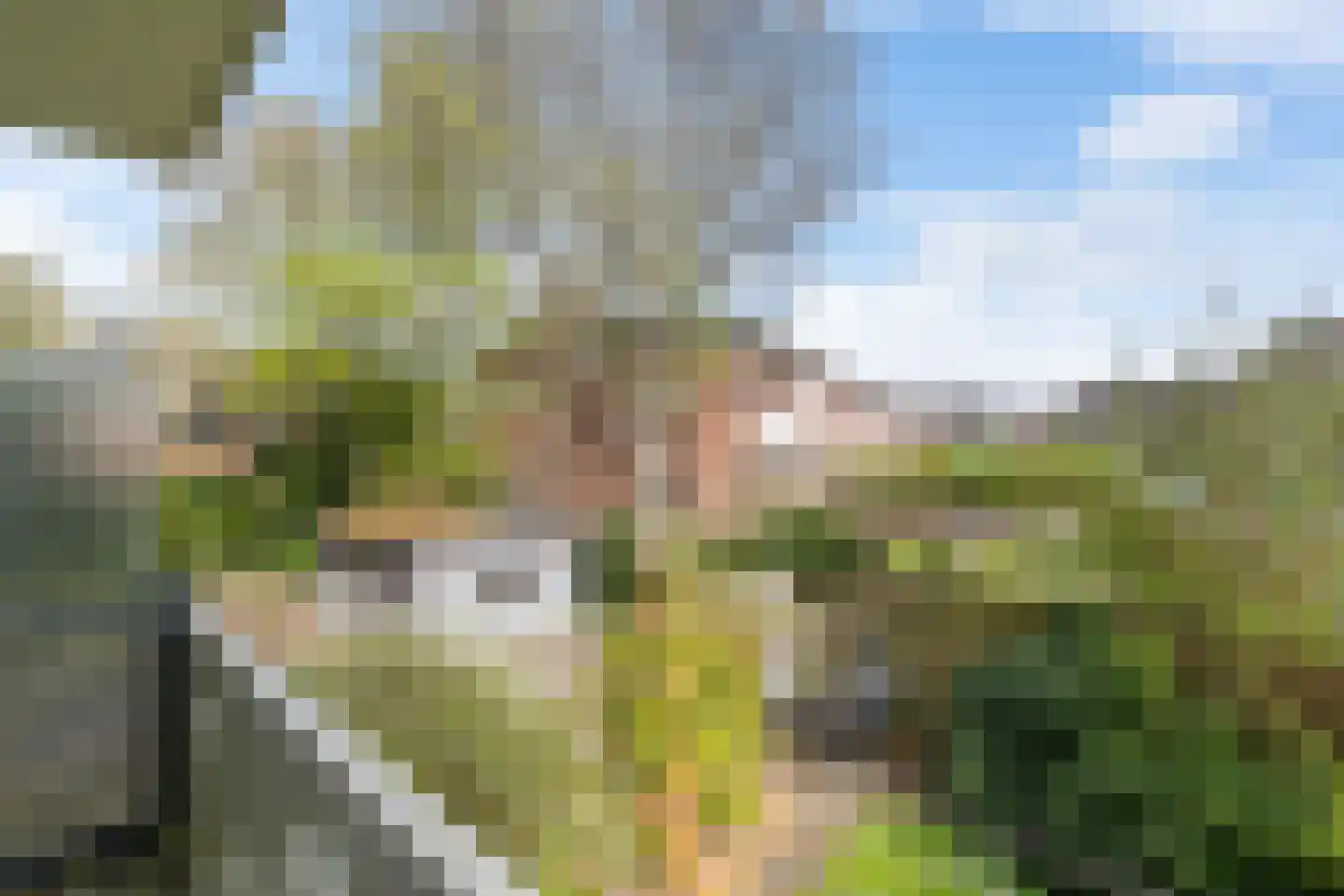 Dennenweg 1 Assen thumbnail 22
