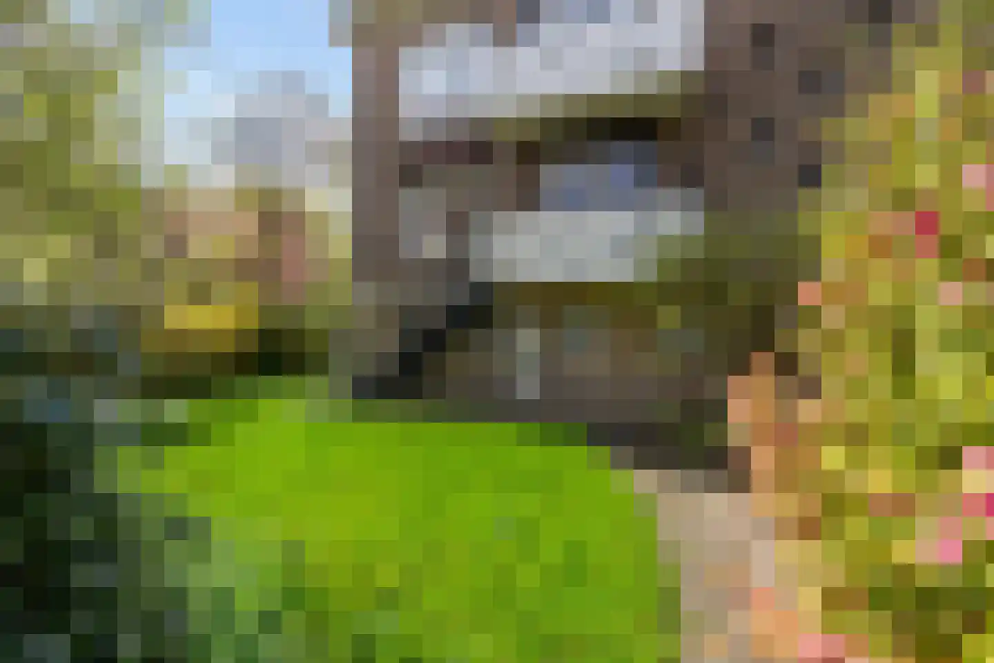 Dennenweg 1 Assen thumbnail 30