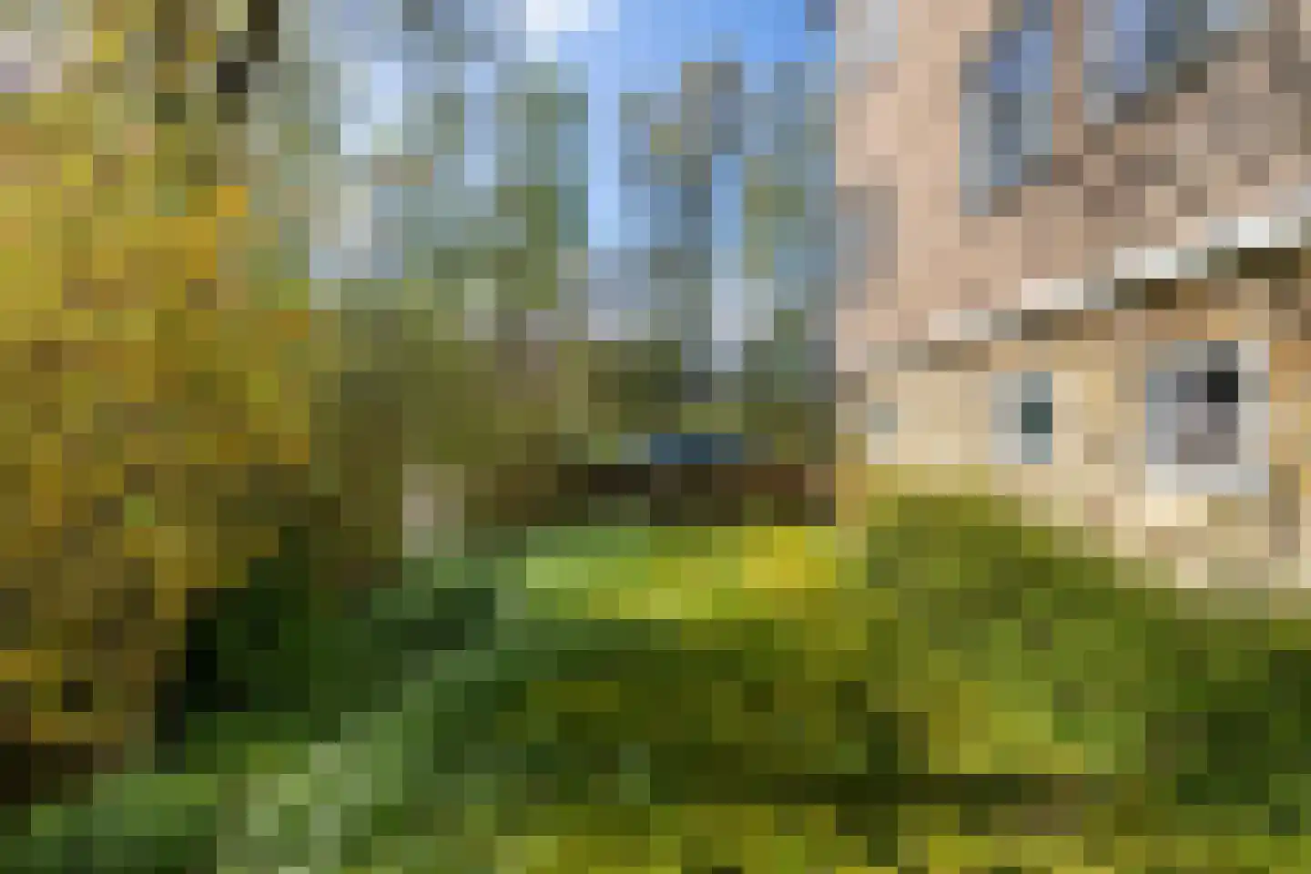 Dennenweg 1 Assen thumbnail 32