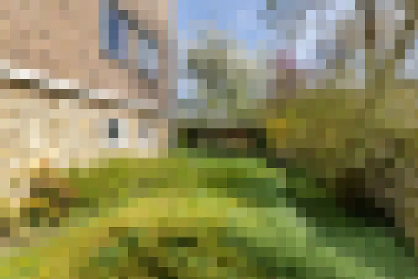 Dennenweg 1 Assen thumbnail 33