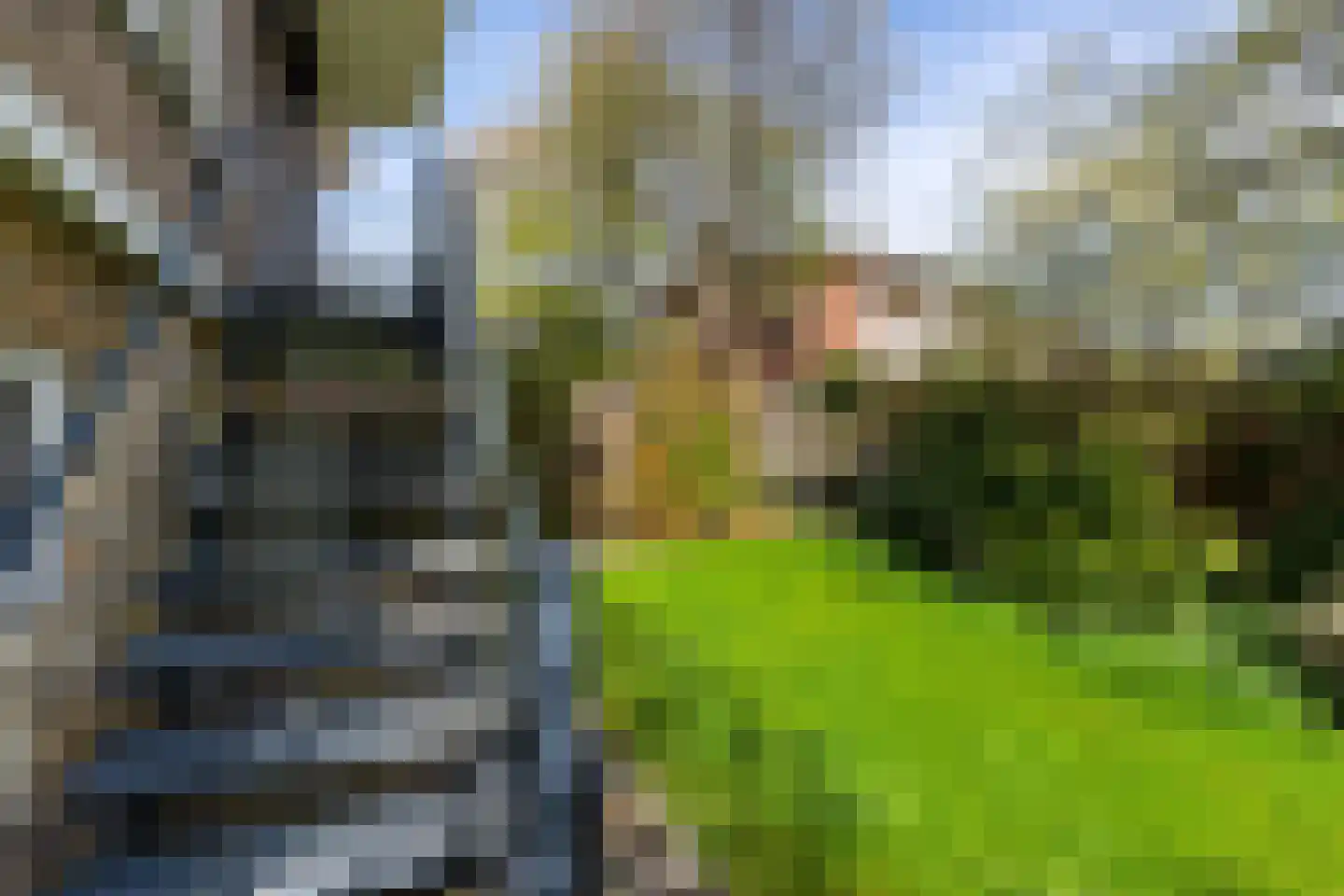 Dennenweg 1 Assen thumbnail 34