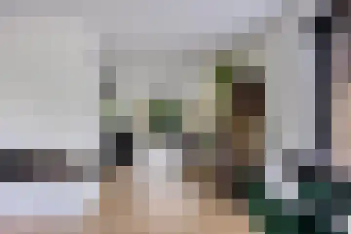 Dennenweg 12 Doetinchem thumbnail 4