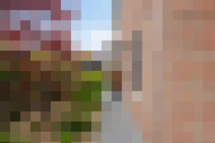 Dennenweg 12 Doetinchem thumbnail 42