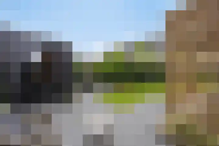 Dennenweg 12 Doetinchem thumbnail 45