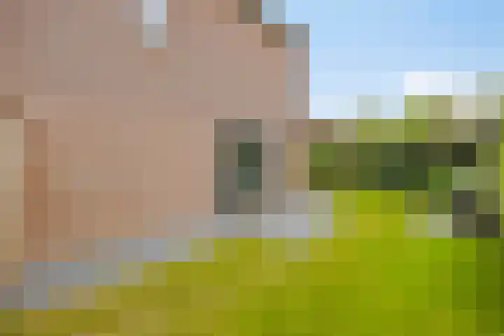 Dennenweg 12 Doetinchem thumbnail 48