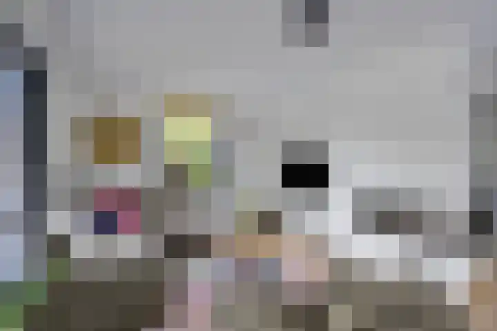 Dennenweg 12 Doetinchem thumbnail 5