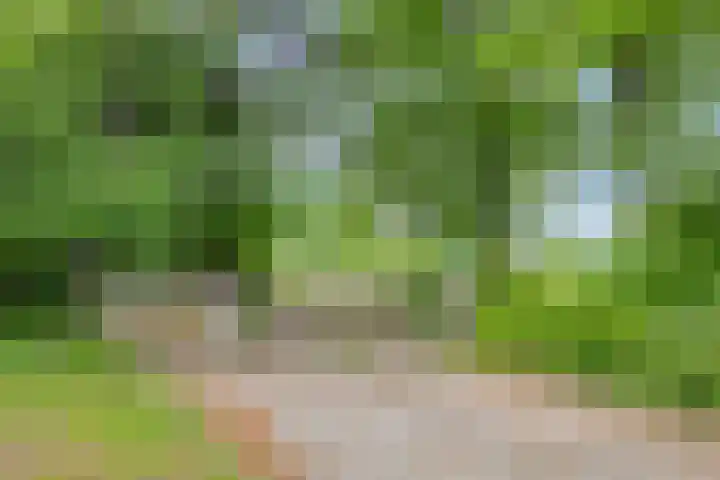 Dennenweg 12 Doetinchem thumbnail 51