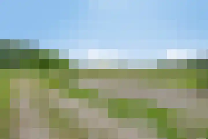 Dennenweg 12 Doetinchem thumbnail 53