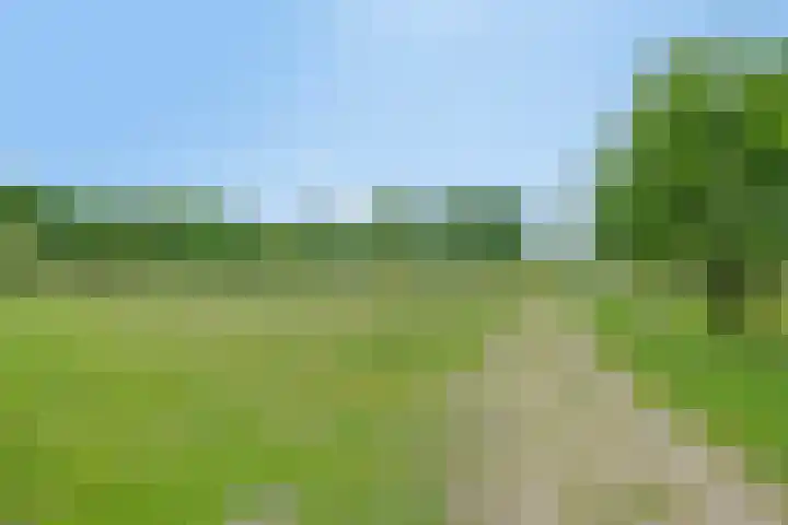 Dennenweg 12 Doetinchem thumbnail 54