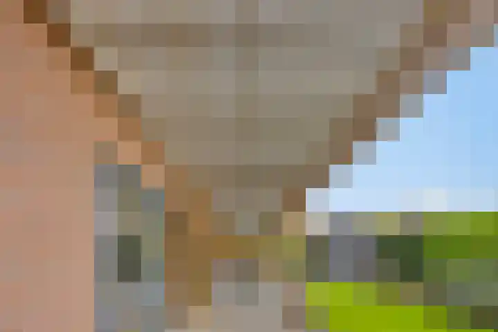 Dennenweg 12 Doetinchem thumbnail 6