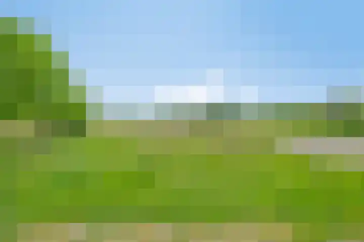 Dennenweg 12 Doetinchem thumbnail 7