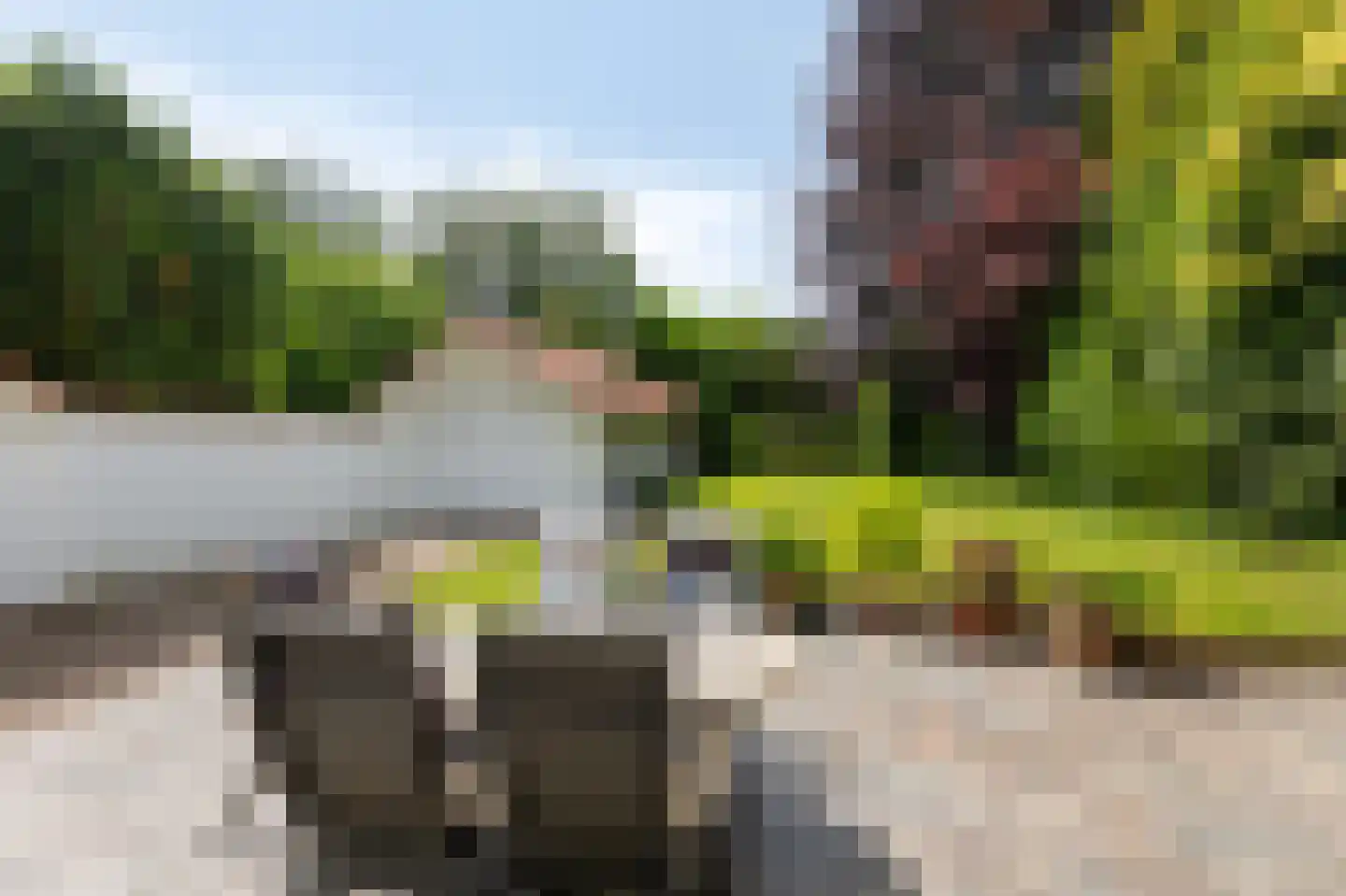 Dennenweg 13 Velp thumbnail 15