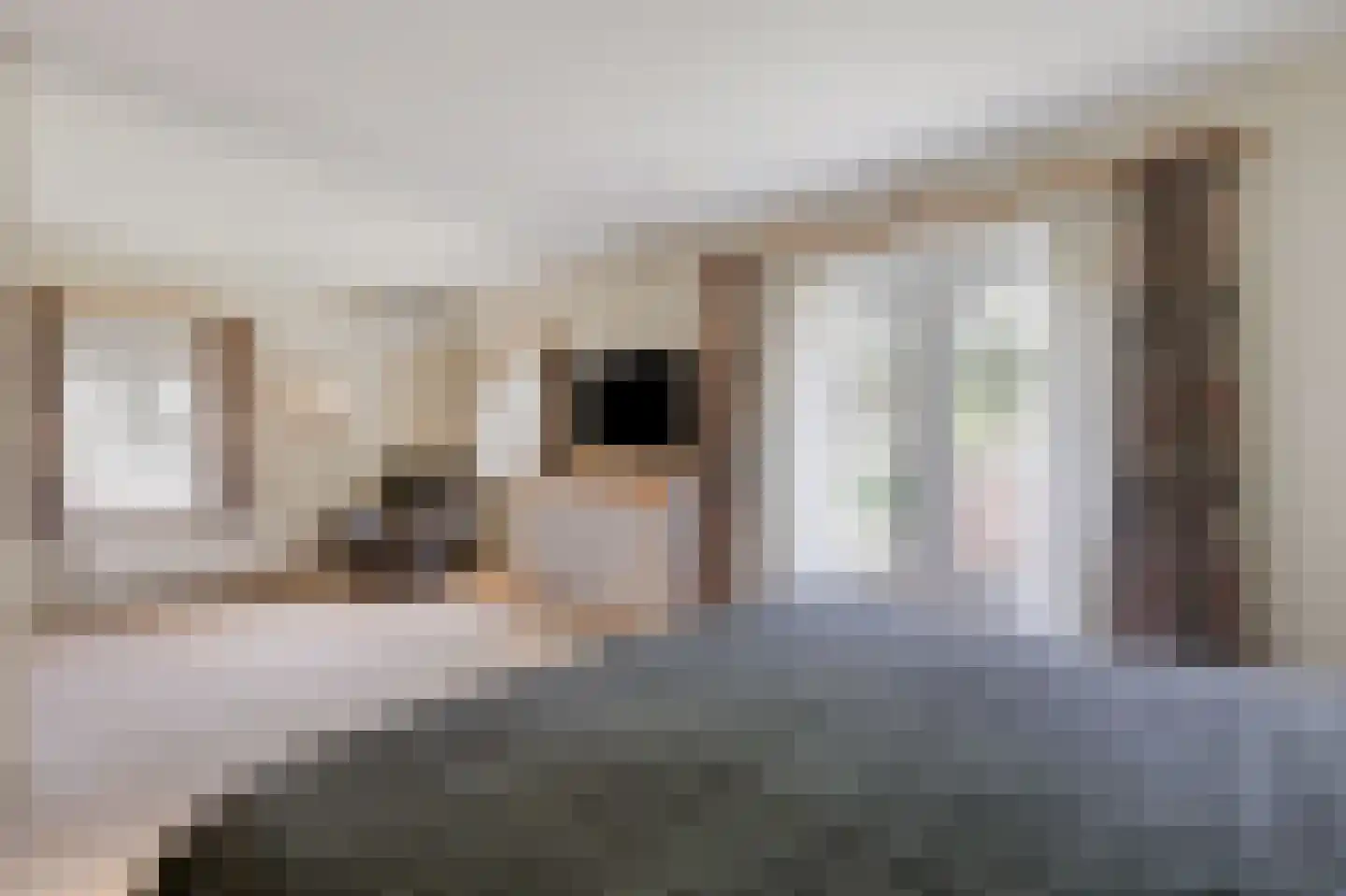 Dennenweg 13 Velp thumbnail 22