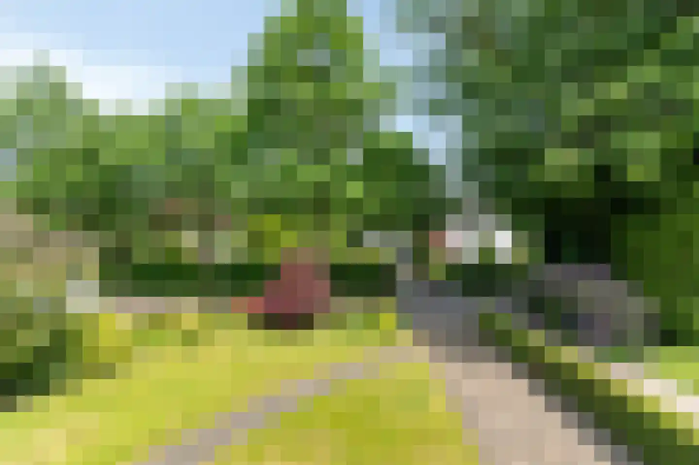 Dennenweg 13 Velp thumbnail 24