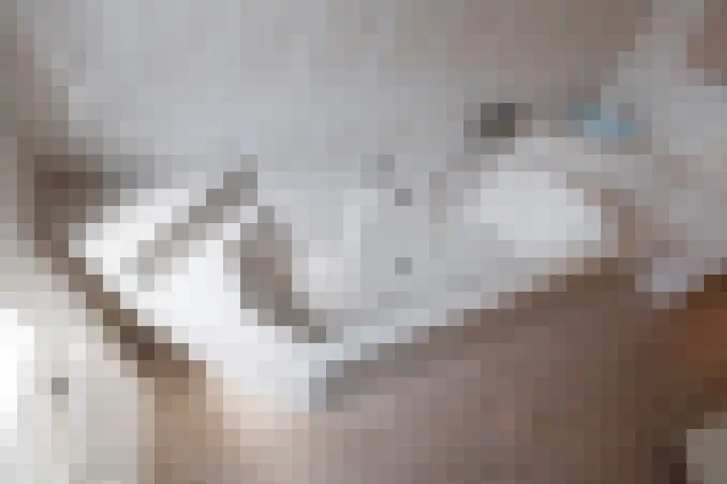 Dennenweg 13 Velp thumbnail 36