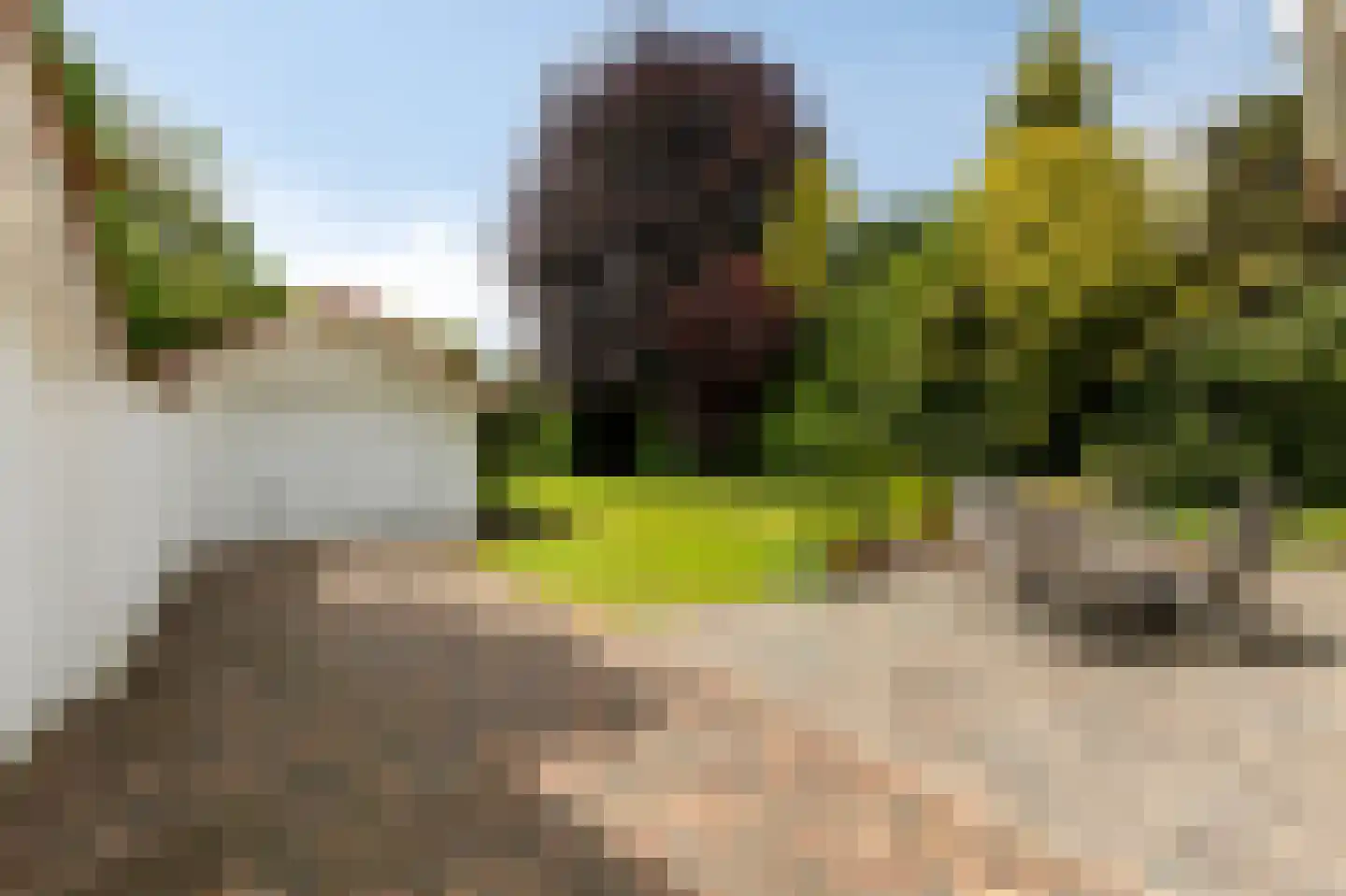 Dennenweg 13 Velp thumbnail 43