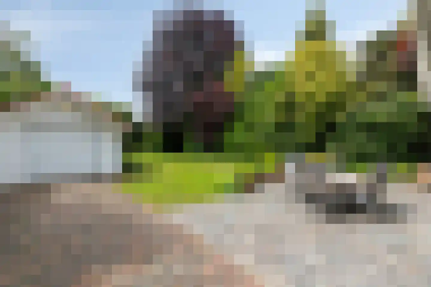 Dennenweg 13 Velp thumbnail 44