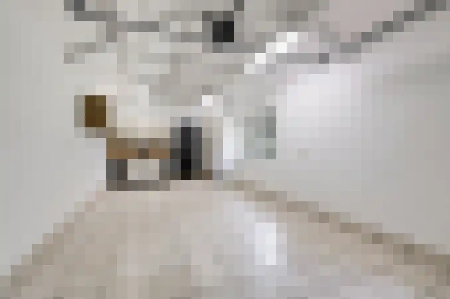 Dennenweg 13 Velp thumbnail 46