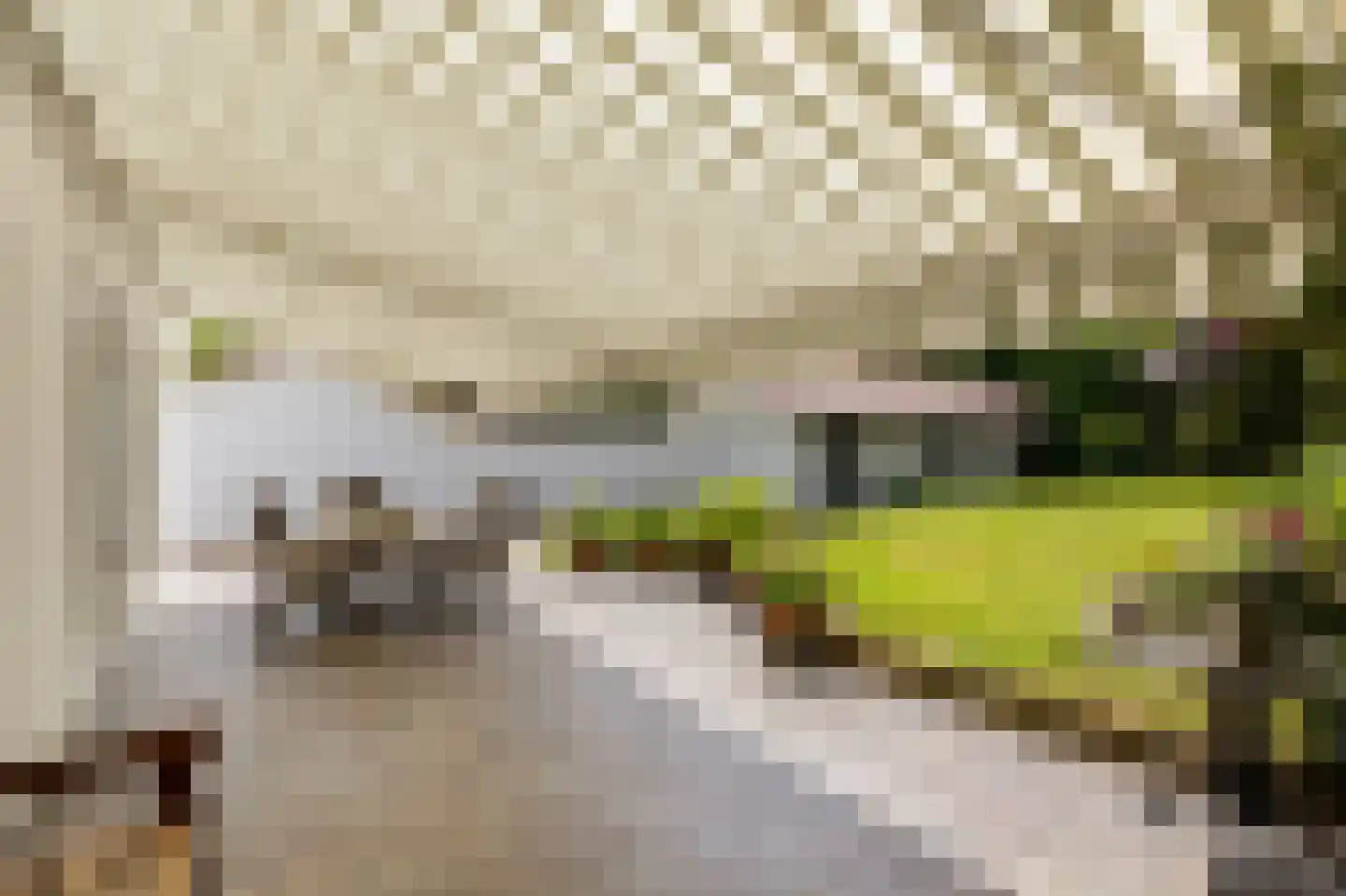 Dennenweg 13 Velp thumbnail 55