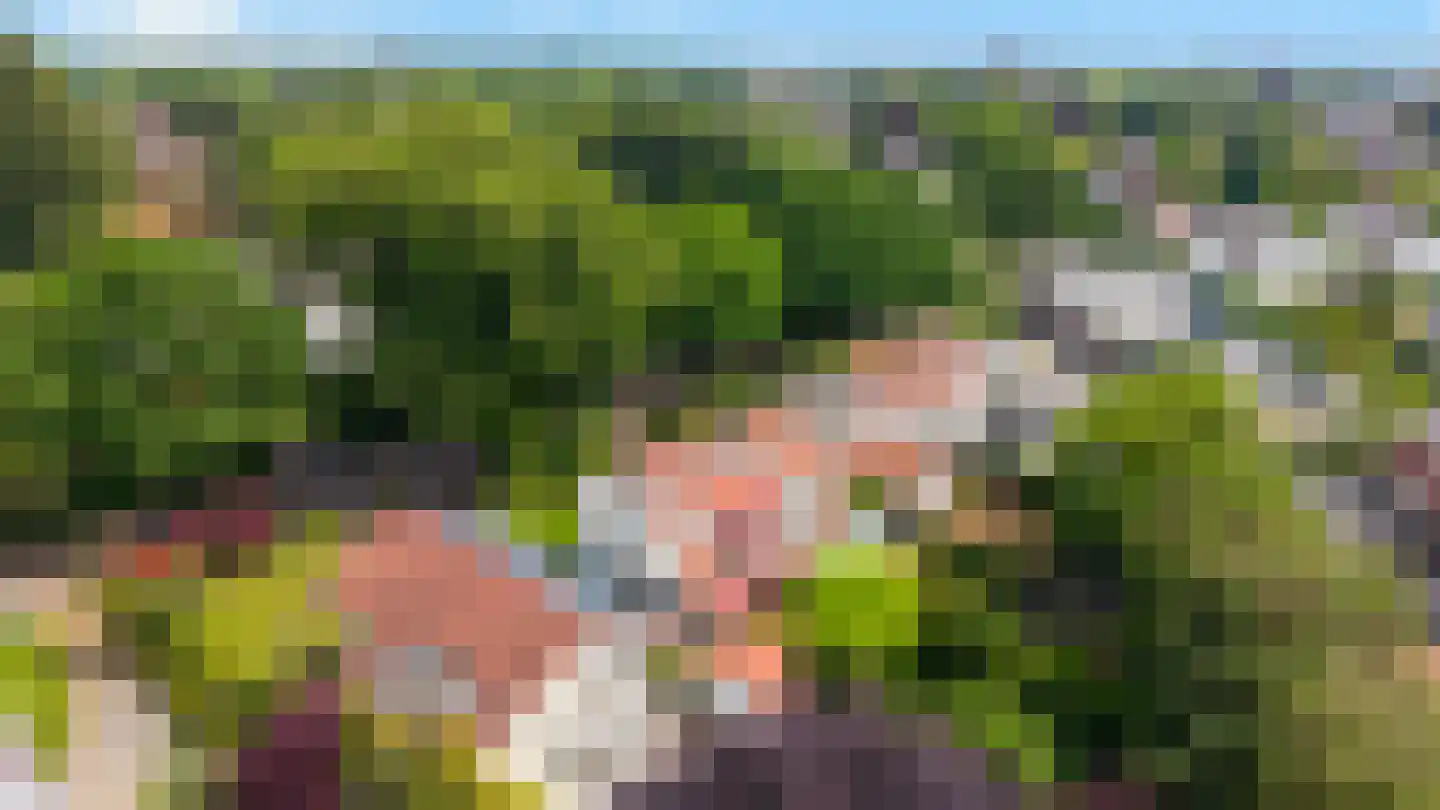 Dennenweg 13 Velp thumbnail 57